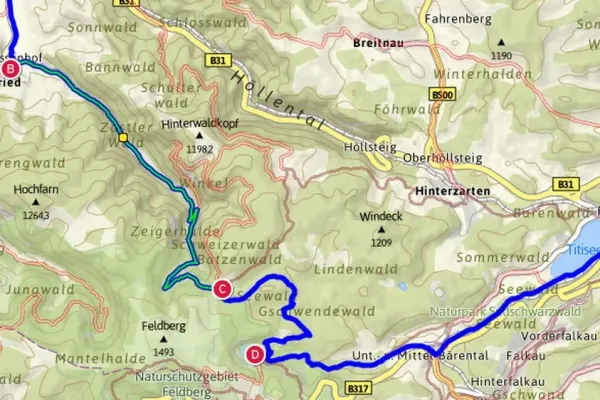 2014-vortuor-feldberg-0075D0412DF-24AA-C3C8-59BD-F55DD2A08109.webp