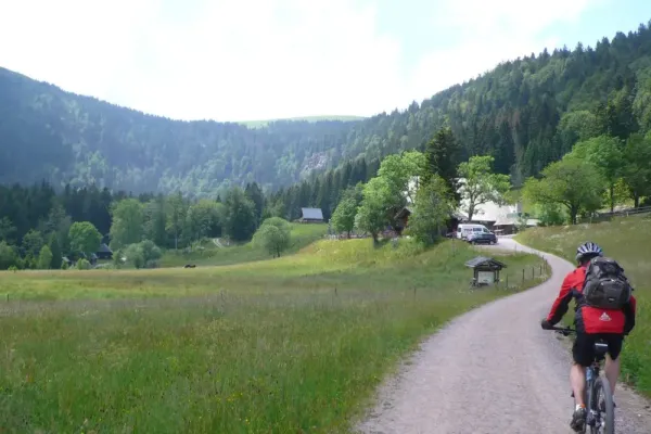 2014-vortuor-feldberg-01824E6C9D4-4170-1558-F614-9000020D1B04.webp