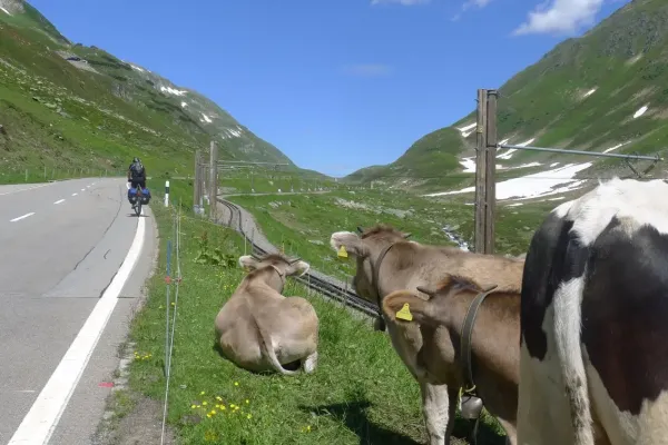 2018-apenx4-301C8657230-860E-1C16-D659-E9C1E3E0CE8B.webp