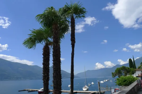 2018-apenx4-44035125328-4D70-1738-8D91-B7C545568072.webp