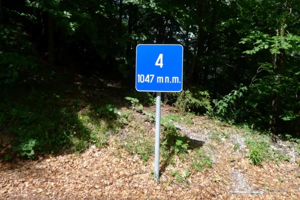 2019-alpenx5-329C0522ACE-6FAF-68B1-F9AF-77C3AFCE1EE7.webp