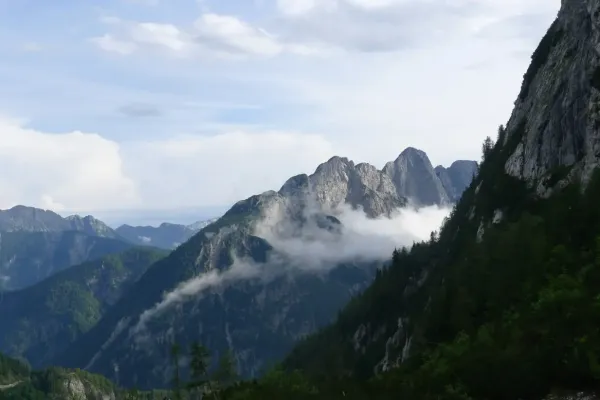 2019-alpenx5-372F8A449F7-D7F9-B1C5-5B7A-C4E2DDAF20C1.webp