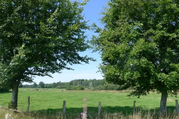 2019-tour26-15026B12AAE-B4F9-6197-D257-CE2D4FBC9350.webp