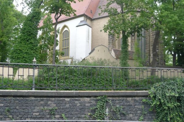 oder-neisse-2020-05742E81989-5681-2E7A-39DD-941D0CBAB863.jpg
