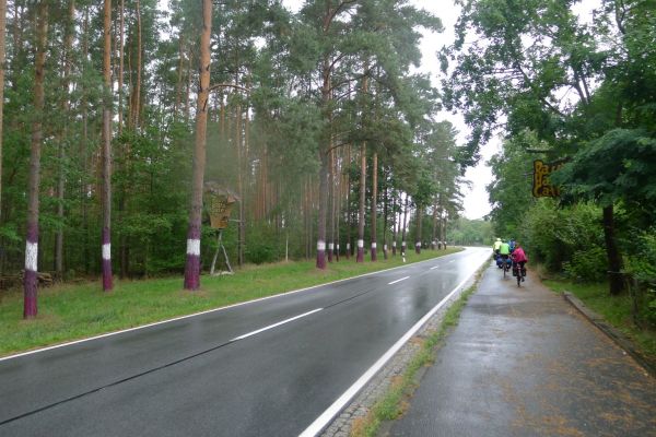 oder-neisse-2020-137D6876281-362E-7C07-FC11-A4430EE3F414.jpg
