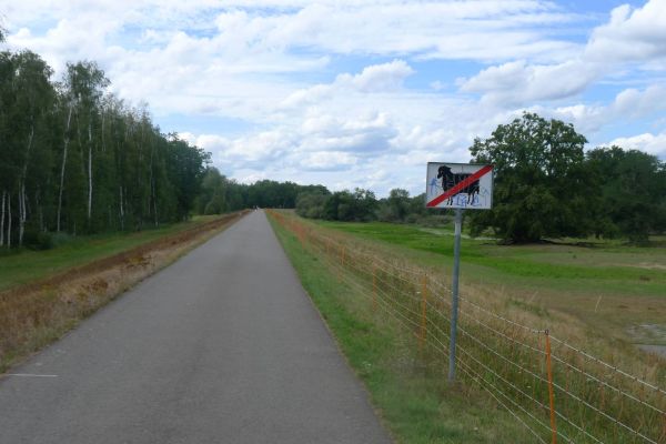 oder-neisse-2020-293DC2DE5B6-5809-8667-45EE-2B5F8C7257D3.jpg
