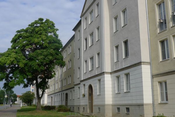 oder-neisse-2020-324AF2E6E2D-F90D-6A16-73A8-E608A376561D.jpg
