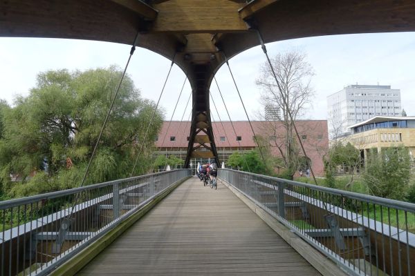 oder-neisse-2020-350755DACB6-C2DE-D9A5-FBAE-2E7FC23C862F.jpg