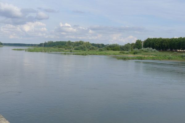oder-neisse-2020-3605A4512BD-FCC8-B56E-411D-69DA6EE0CA60.jpg