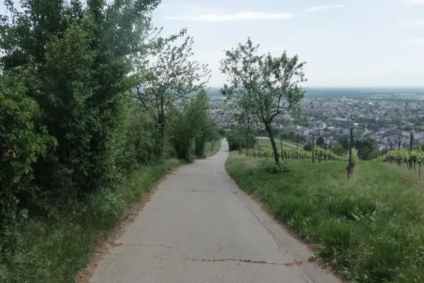 2025-eroeffungstour-043F2CAC497-3194-D894-3183-6677BBCDA735.webp