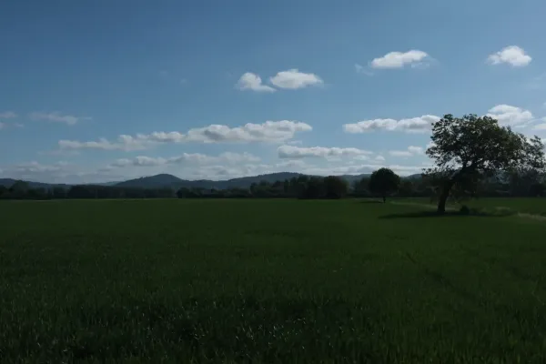2025-eroeffungstour-13778ED9AD8-AC7B-A305-E2B1-708663C11581.webp