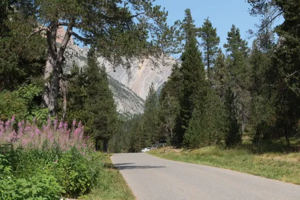 2023-alpenx9-067ED649AA3-7ABC-6539-E11D-1A49562C0EAA.webp