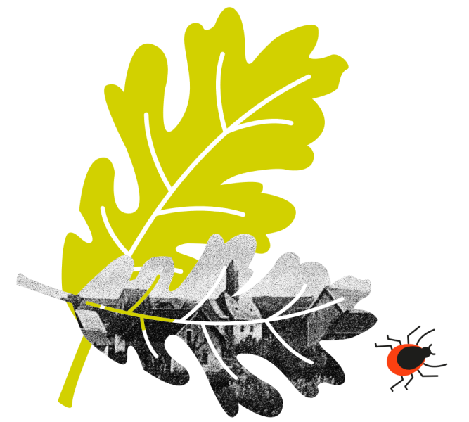 VKI750-Eichenblatt